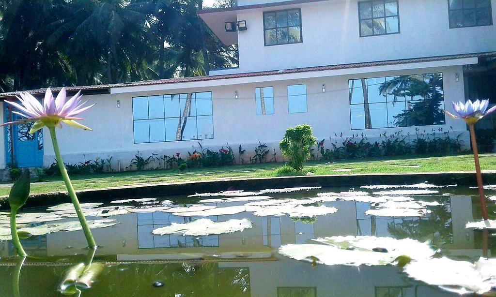 Nisarga Nirvana River House 门格洛尔 外观 照片